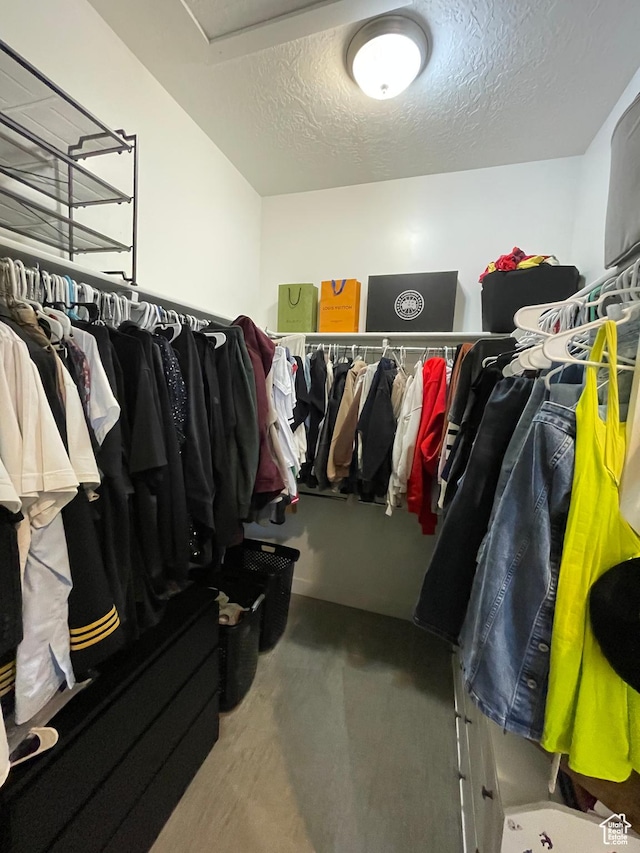 walk in closet featuring carpet floors