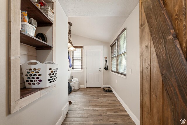 290 N 300 E, Springville, UT 84663 - entryway with lofted ceiling, a healthy amount of sunlight, baseboards, and wood finished floors