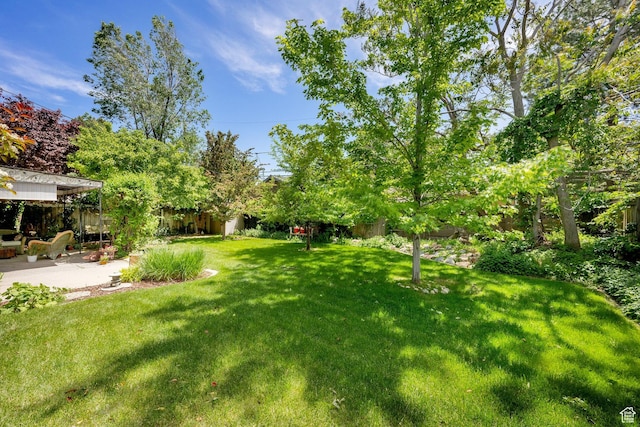 view of yard with a patio