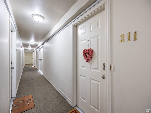 112 W Cougar Blvd N Unit 311, Provo, UT 84604 - hall featuring baseboards and carpet