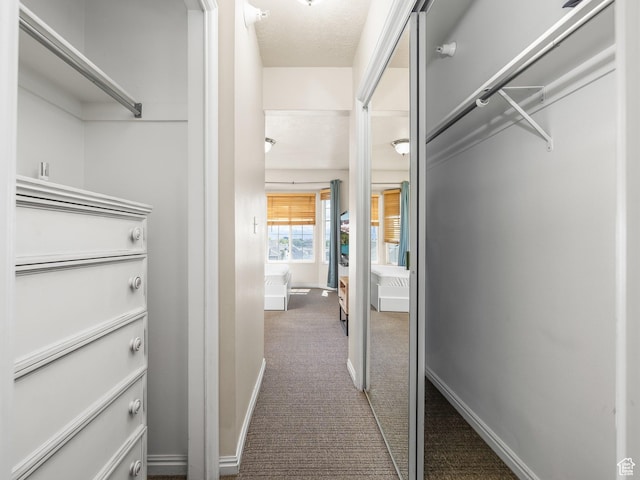 112 W Cougar Blvd N Unit 311, Provo, UT 84604 - spacious closet featuring carpet