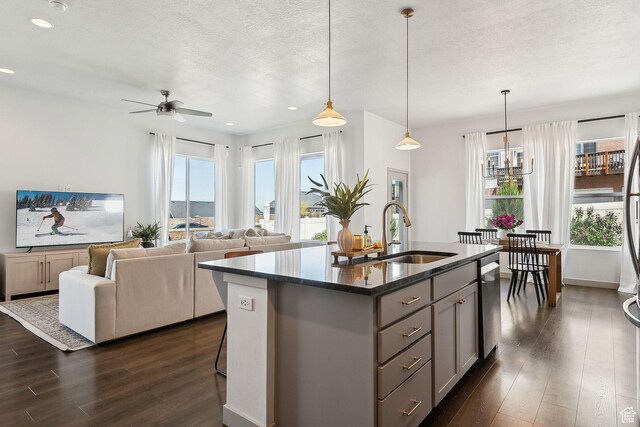 kitchen featuring a sink, plenty of natural light, ceiling fan with notable chandelier, dark wood-style flooring, and gray cabinetry