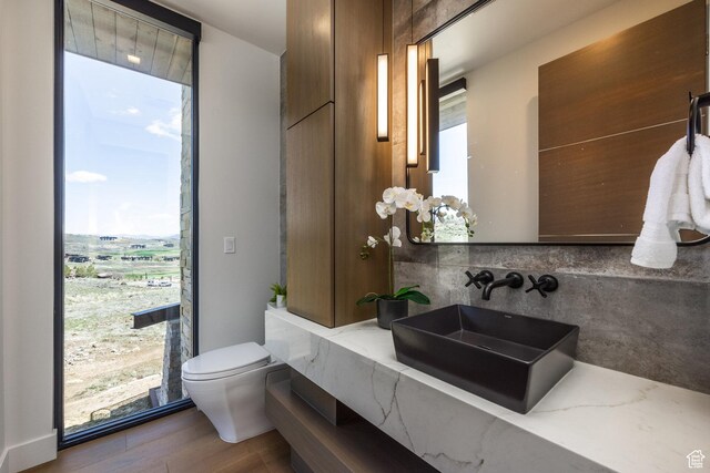 9881 N Uinta Dr, Kamas, UT 84036 - bathroom with wood finished floors, a healthy amount of sunlight, vanity, and toilet