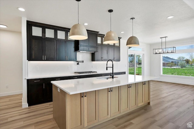 2649 N 3975 W, Plain City, UT 84404 - kitchen with baseboards, a sink, light wood finished floors, and light countertops
