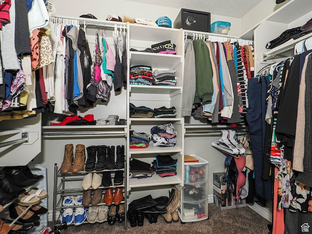 spacious closet with carpet flooring