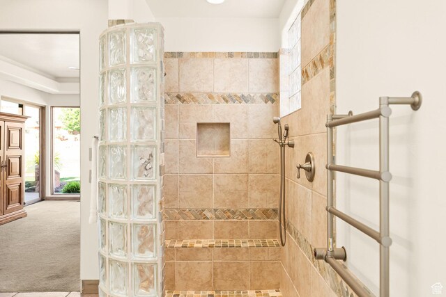 2410 W Entrada Trl Unit 15, St George, UT 84770 - full bath featuring walk in shower