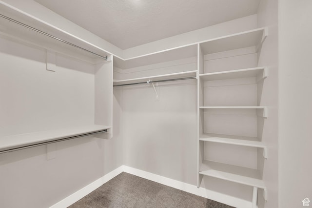 227 N 250 E, Salem, UT 84653 - spacious closet featuring carpet floors