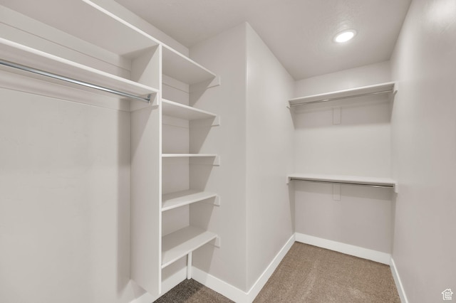 227 N 250 E, Salem, UT 84653 - walk in closet with carpet flooring
