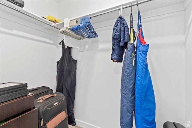 1158 E Bearing Dr S, Saratoga Springs, UT 84045 - view of spacious closet