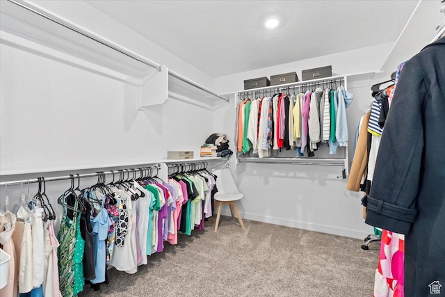 1158 E Bearing Dr S, Saratoga Springs, UT 84045 - walk in closet featuring carpet floors