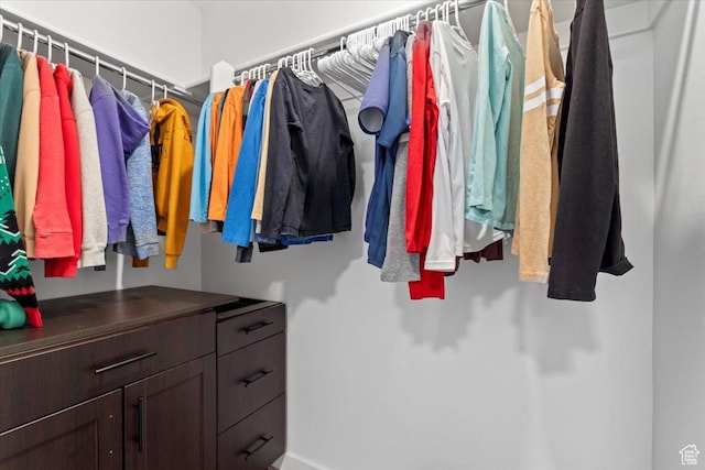 1158 E Bearing Dr S, Saratoga Springs, UT 84045 - view of spacious closet