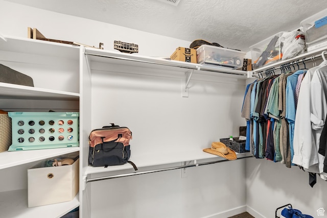 2671 E White Birch Dr, Eagle Mountain, UT 84005 - view of spacious closet