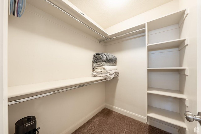 3030 N 125 E, Cedar City, UT 84721 - spacious closet with dark carpet