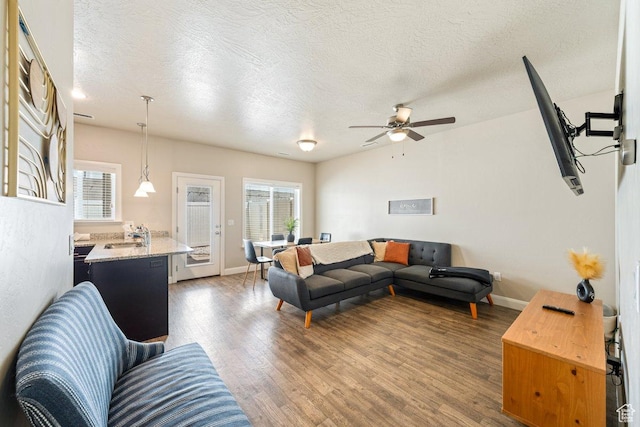 3030 N 125 E, Cedar City, UT 84721 - living room with wood finished floors, ceiling fan, and a healthy amount of sunlight