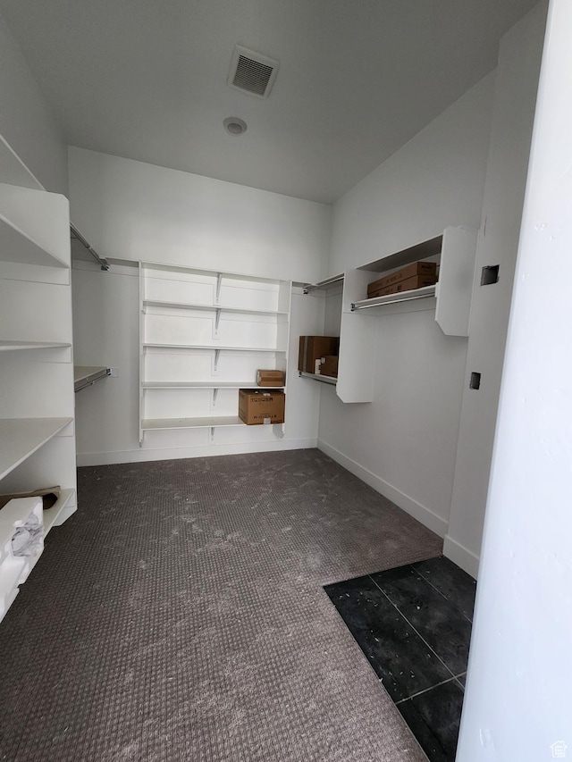 4197 N Maple Hollow Dr Unit 120, Lehi, UT 84043 - walk in closet with dark colored carpet