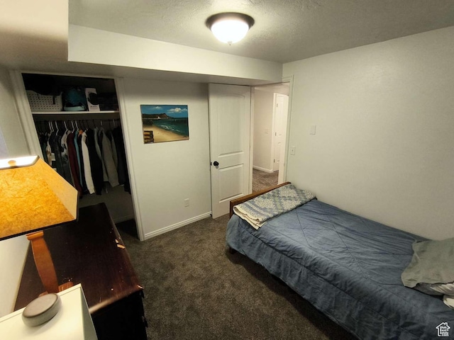 410 E 500 N, Ephraim, UT 84627 - carpeted bedroom with baseboards, a textured ceiling, and a closet