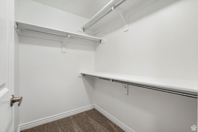 6263 W Oak Gate Dr, West Jordan, UT 84081 - walk in closet featuring carpet flooring
