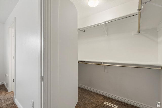 6263 W Oak Gate Dr, West Jordan, UT 84081 - spacious closet with visible vents and carpet floors