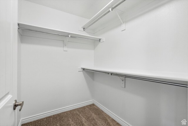 6263 W Oak Gate Dr, West Jordan, UT 84081 - spacious closet with carpet flooring