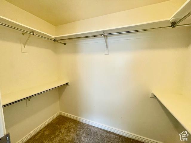 spacious closet with dark carpet