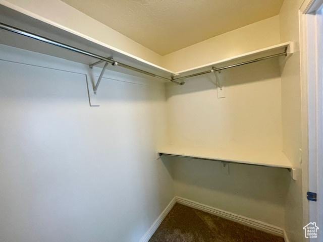 spacious closet with dark carpet