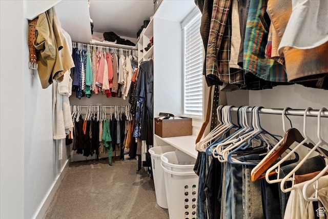 walk in closet with carpet