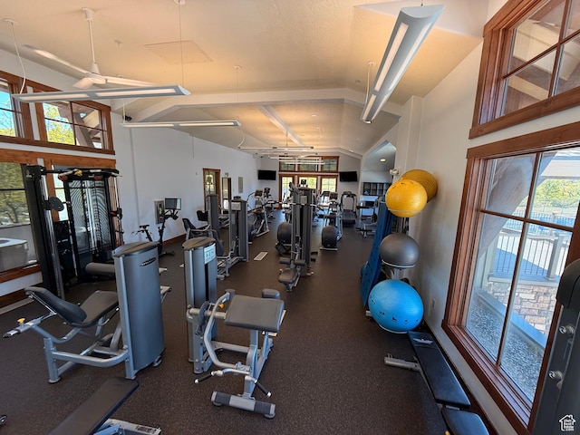 1492 E Bluff Point Dr, Draper, UT 84020 - gym with lofted ceiling