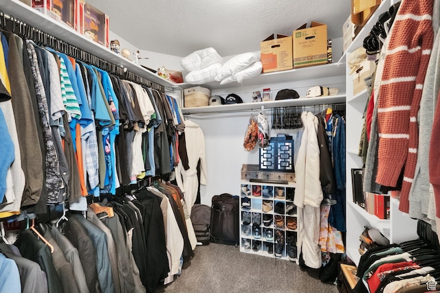 2385 E 430 S, Spanish Fork, UT 84660 - spacious closet featuring carpet floors