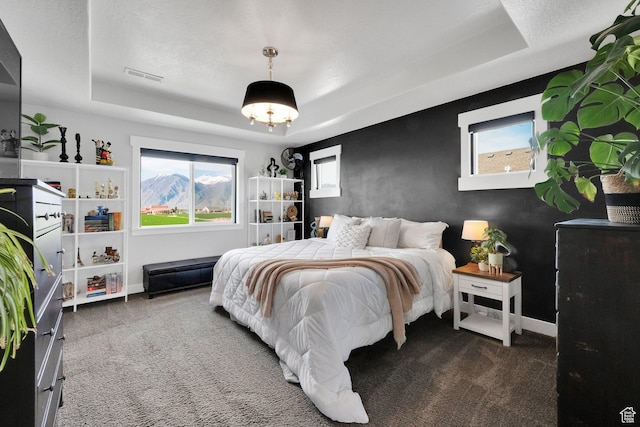 2385 E 430 S, Spanish Fork, UT 84660 - bedroom with a tray ceiling, carpet, visible vents, and baseboards