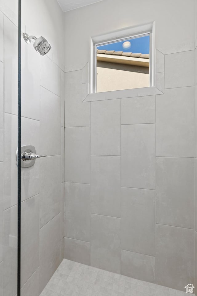315 W Camino Borde, Washington, UT 84780 - full bath featuring plenty of natural light and tiled shower