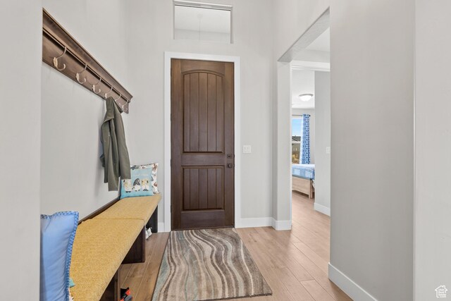 315 W Camino Borde, Washington, UT 84780 - entrance foyer featuring baseboards and light wood-type flooring