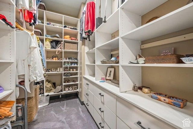 3052 N Snow Canyon Pkwy Unit 67, St George, UT 84770 - walk in closet with carpet floors