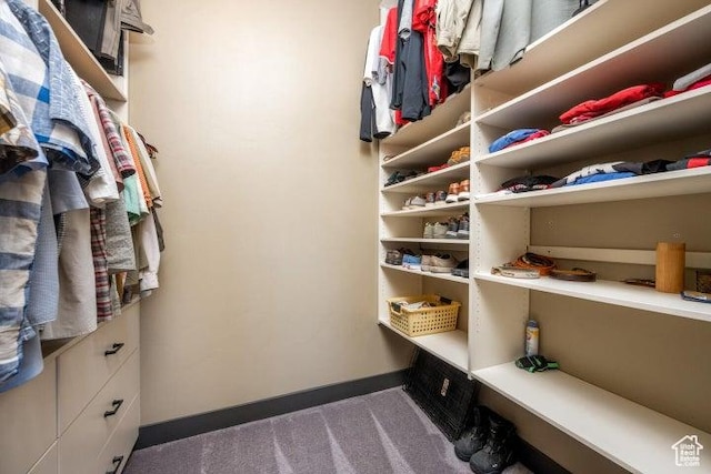 3052 N Snow Canyon Pkwy Unit 67, St George, UT 84770 - walk in closet featuring carpet floors