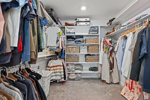 walk in closet with carpet floors
