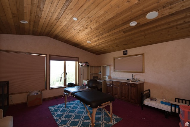 3090 N Rocky Rd E, Kamas, UT 84036 - recreation room with wood ceiling, vaulted ceiling, a sink, and carpet
