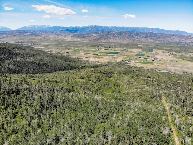 3090 N Rocky Rd E, Kamas, UT 84036 - bird's eye view with a view of trees and a mountain view