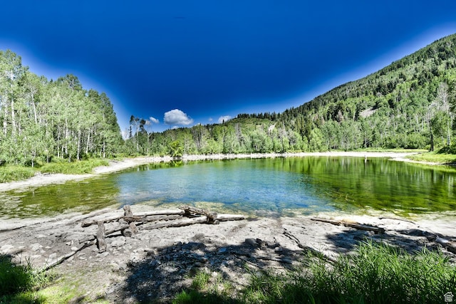 3090 N Rocky Rd E, Kamas, UT 84036 - water view with a view of trees