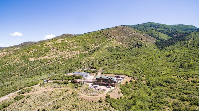 3090 N Rocky Rd E, Kamas, UT 84036 - view of mountain feature featuring a wooded view