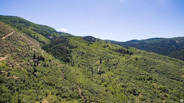 3090 N Rocky Rd E, Kamas, UT 84036 - view of mountain feature with a forest view