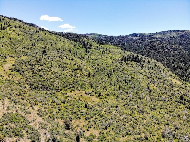 3090 N Rocky Rd E, Kamas, UT 84036 - mountain view with a wooded view
