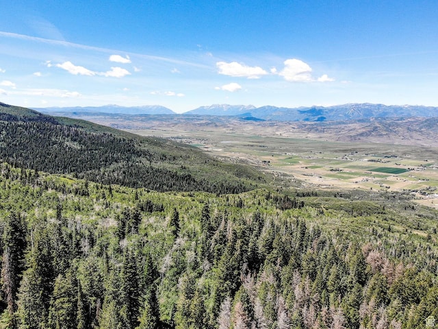 3090 N Rocky Rd E, Kamas, UT 84036 - view of mountain feature featuring a wooded view