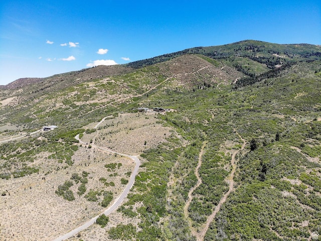 3090 N Rocky Rd E, Kamas, UT 84036 - mountain view