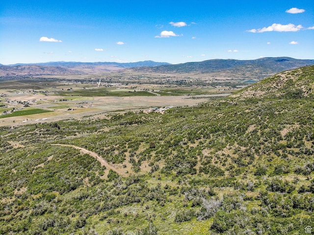 3090 N Rocky Rd E, Kamas, UT 84036 - mountain view