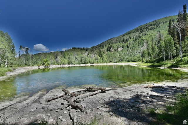 3090 N Rocky Rd E, Kamas, UT 84036 - water view with a view of trees