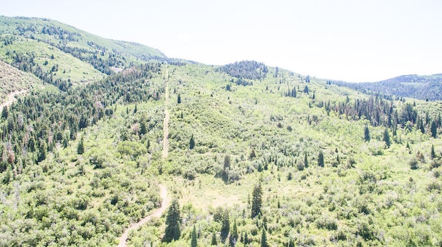 3090 N Rocky Rd E, Kamas, UT 84036 - view of mountain feature featuring a wooded view