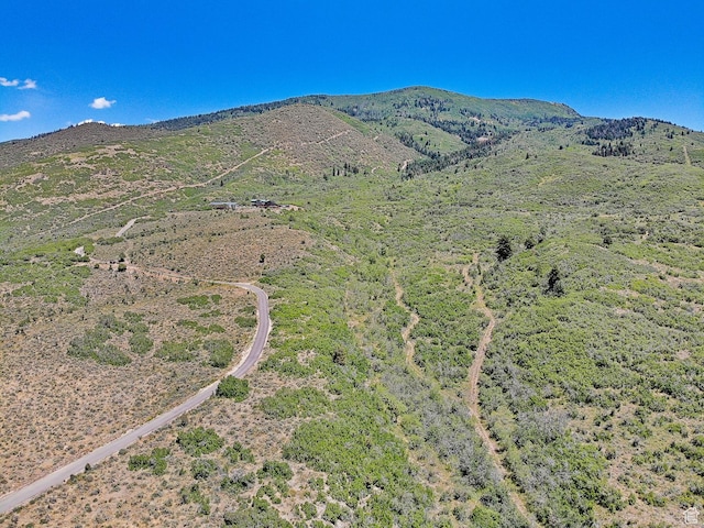 3090 N Rocky Rd E, Kamas, UT 84036 - mountain view