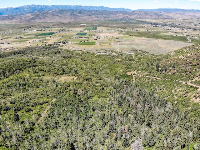 3090 N Rocky Rd E, Kamas, UT 84036 - drone / aerial view with a mountain view