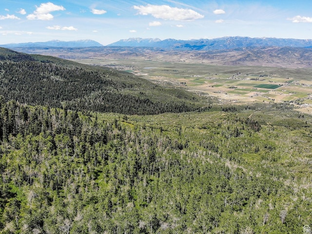 3090 N Rocky Rd E, Kamas, UT 84036 - property view of mountains with a view of trees