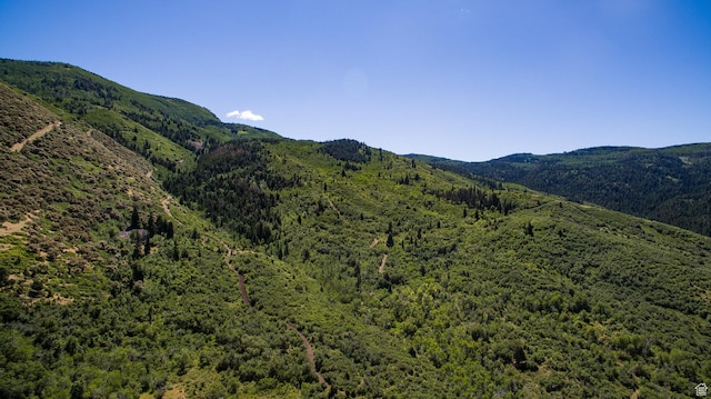 3090 N Rocky Rd E, Kamas, UT 84036 - view of mountain feature with a view of trees