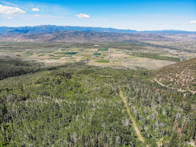 3090 N Rocky Rd E, Kamas, UT 84036 - drone / aerial view with a mountain view
